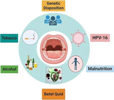 Exploring the potential of dietary factors and plant extracts as chemopreventive agents in oral squamous cell carcinoma treatment